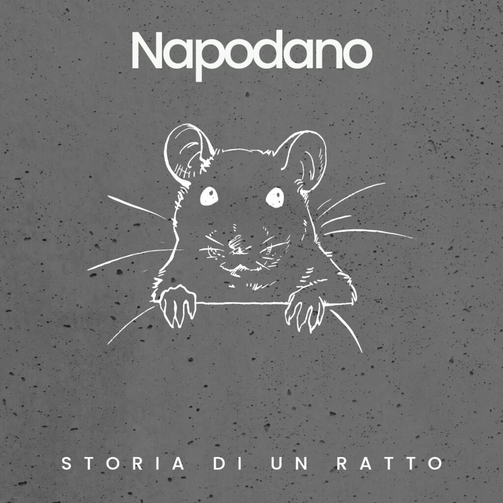 Copertina di Storia di un Ratto